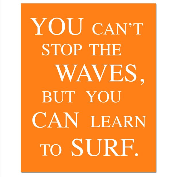 you-cant-stop-the-waves-but-you-can-learn-how-to-surf13